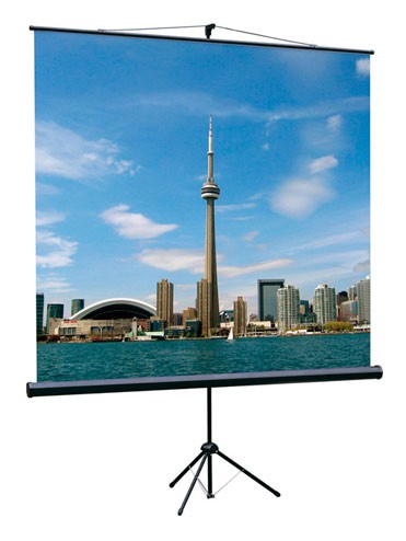 Экран на штативе Lumien Eco View 160x160 см возможностью настенного крепления (LEV-100105)